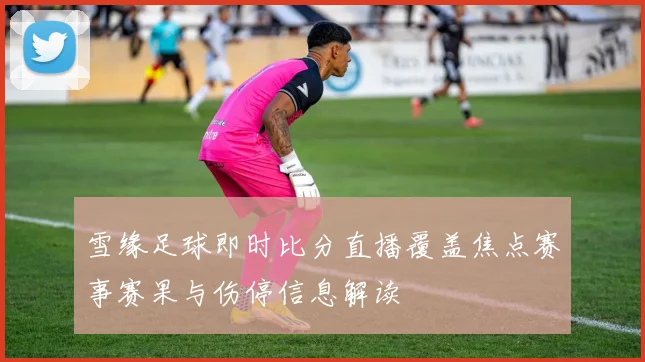 雪缘足球即时比分直播覆盖焦点赛事赛果与伤停信息解读